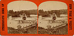 [68 Stereographic Views of Bethesda Fountain: Distant Views, Central Park, New York], Various, American, Albumen silver prints