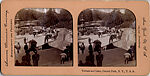 [68 Stereographic Views of Bethesda Fountain: Distant Views, Central Park, New York], Various, American, Albumen silver prints