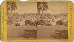 [68 Stereographic Views of Bethesda Fountain: Distant Views, Central Park, New York], Various, American, Albumen silver prints