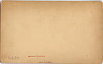 [33 Stereographic Views of Bethesda Fountain: Close-up, Central Park, New York], Various, American, Albumen silver prints