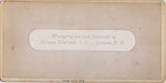 [33 Stereographic Views of Bethesda Fountain: Close-up, Central Park, New York], Various, American, Albumen silver prints
