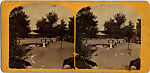 [65 Stereographic Views of Various Fountains, Central Park, New York], Various, American, Albumen silver prints
