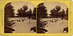 [65 Stereographic Views of Various Fountains, Central Park, New York], Various, American, Albumen silver prints