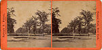 [65 Stereographic Views of Various Fountains, Central Park, New York], Various, American, Albumen silver prints