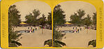 [65 Stereographic Views of Various Fountains, Central Park, New York], Various, American, Albumen silver prints