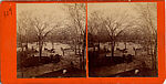 [65 Stereographic Views of Various Fountains, Central Park, New York], Various, American, Albumen silver prints