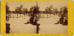 [65 Stereographic Views of Various Fountains, Central Park, New York], Various, American, Albumen silver prints