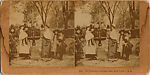 [65 Stereographic Views of Various Fountains, Central Park, New York], Various, American, Albumen silver prints