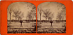 [65 Stereographic Views of Various Fountains, Central Park, New York], Various, American, Albumen silver prints
