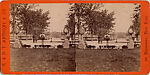 [65 Stereographic Views of Various Fountains, Central Park, New York], Various, American, Albumen silver prints