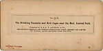 [65 Stereographic Views of Various Fountains, Central Park, New York], Various, American, Albumen silver prints