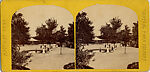[65 Stereographic Views of Various Fountains, Central Park, New York], Various, American, Albumen silver prints