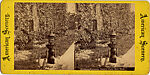 [65 Stereographic Views of Various Fountains, Central Park, New York], Various, American, Albumen silver prints