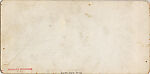 [65 Stereographic Views of Various Fountains, Central Park, New York], Various, American, Albumen silver prints