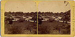 [65 Stereographic Views of Various Fountains, Central Park, New York], Various, American, Albumen silver prints