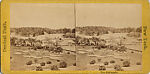 [65 Stereographic Views of Various Fountains, Central Park, New York], Various, American, Albumen silver prints