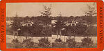 [65 Stereographic Views of Various Fountains, Central Park, New York], Various, American, Albumen silver prints