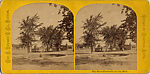 [65 Stereographic Views of Various Fountains, Central Park, New York], Various, American, Albumen silver prints