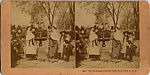 [65 Stereographic Views of Various Fountains, Central Park, New York], Various, American, Albumen silver prints