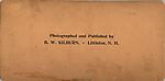 [65 Stereographic Views of Various Fountains, Central Park, New York], Various, American, Albumen silver prints