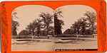[65 Stereographic Views of Various Fountains, Central Park, New York], Various, American, Albumen silver prints