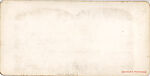 [65 Stereographic Views of Various Fountains, Central Park, New York], Various, American, Albumen silver prints