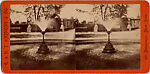[65 Stereographic Views of Various Fountains, Central Park, New York], Various, American, Albumen silver prints