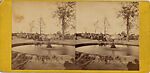 [65 Stereographic Views of Various Fountains, Central Park, New York], Various, American, Albumen silver prints