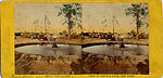 [65 Stereographic Views of Various Fountains, Central Park, New York], Various, American, Albumen silver prints