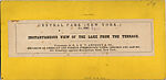 [75 Stereographic Views of the Esplanade, Central Park, New York], Various, American, Albumen silver prints
