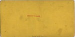 [75 Stereographic Views of the Esplanade, Central Park, New York], Various, American, Albumen silver prints