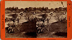 [75 Stereographic Views of the Esplanade, Central Park, New York], Various, American, Albumen silver prints
