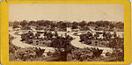 [75 Stereographic Views of the Esplanade, Central Park, New York], Various, American, Albumen silver prints