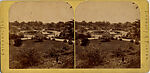[75 Stereographic Views of the Esplanade, Central Park, New York], Various, American, Albumen silver prints