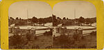 [75 Stereographic Views of the Esplanade, Central Park, New York], Various, American, Albumen silver prints