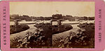 [75 Stereographic Views of the Esplanade, Central Park, New York], Various, American, Albumen silver prints