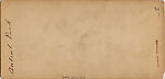 [75 Stereographic Views of the Esplanade, Central Park, New York], Various, American, Albumen silver prints