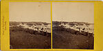 [75 Stereographic Views of the Esplanade, Central Park, New York], Various, American, Albumen silver prints