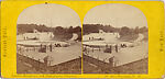 [75 Stereographic Views of the Esplanade, Central Park, New York], Various, American, Albumen silver prints