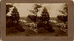 [75 Stereographic Views of the Esplanade, Central Park, New York], Various, American, Albumen silver prints