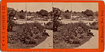 [75 Stereographic Views of the Esplanade, Central Park, New York], Various, American, Albumen silver prints