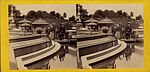 [75 Stereographic Views of the Esplanade, Central Park, New York], Various, American, Albumen silver prints