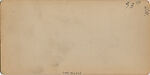 [75 Stereographic Views of the Esplanade, Central Park, New York], Various, American, Albumen silver prints