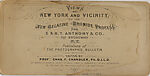 [46 Stereographic Views of Boat Landings and Boat Houses Near Bethesda Fountain, Central Park, New York], Various, American, Albumen silver prints