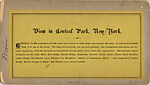 [46 Stereographic Views of Boat Landings and Boat Houses Near Bethesda Fountain, Central Park, New York], Various, American, Albumen silver prints