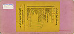 [46 Stereographic Views of Boat Landings and Boat Houses Near Bethesda Fountain, Central Park, New York], Various, American, Albumen silver prints