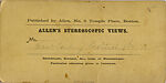 [46 Stereographic Views of Boat Landings and Boat Houses Near Bethesda Fountain, Central Park, New York], Various, American, Albumen silver prints
