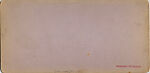 [46 Stereographic Views of Boat Landings and Boat Houses Near Bethesda Fountain, Central Park, New York], Various, American, Albumen silver prints