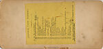 [16 Stereographic Views of Terrace Designs: Close-Up, Central Park, New York], Various, American, Albumen silver prints