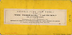 [16 Stereographic Views of Terrace Designs: Close-Up, Central Park, New York], Various, American, Albumen silver prints
